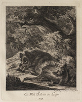 KG 01076
          <br/>
          Entwurf einiger Thiere. Vierter Theil. (16 bladen)
          <br/>
          <em>Ridinger, Johann Elias (1698-1767)</em>